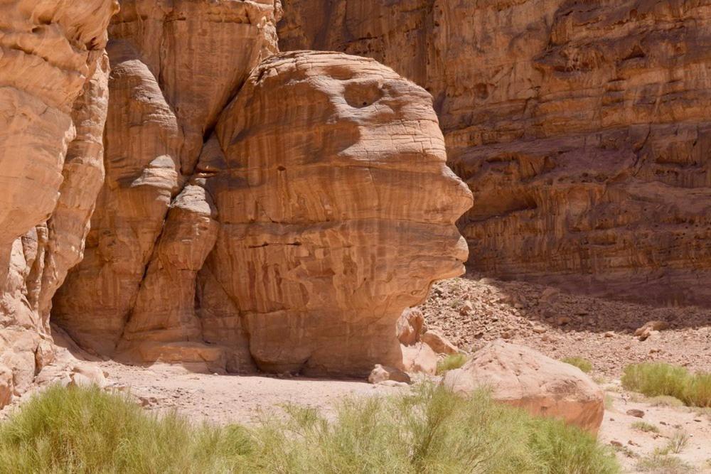 Harmony Luxury Camp Hotel Wadi Rum Bagian luar foto