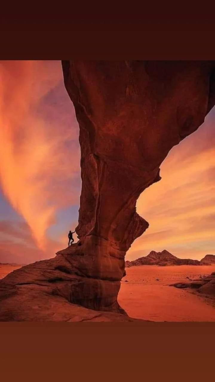 Harmony Luxury Camp Hotel Wadi Rum Bagian luar foto