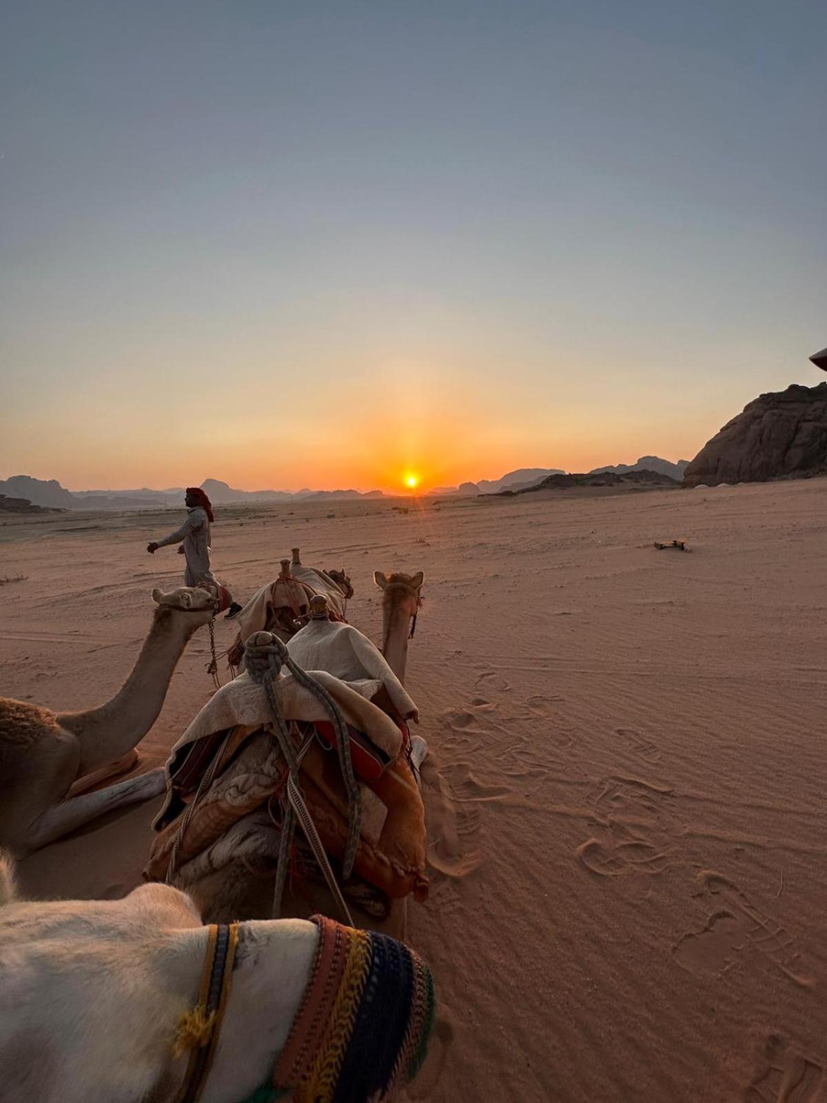 Harmony Luxury Camp Hotel Wadi Rum Bagian luar foto