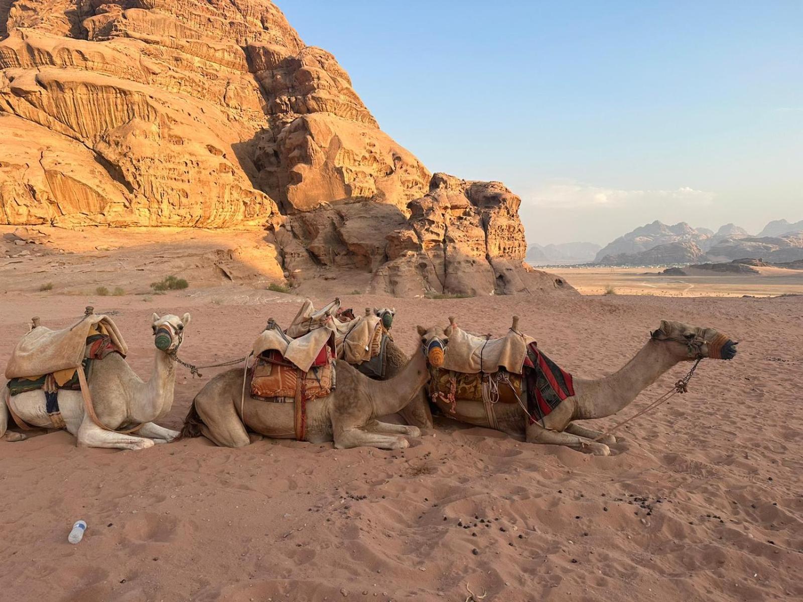 Harmony Luxury Camp Hotel Wadi Rum Bagian luar foto